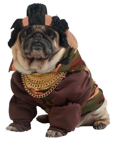 Pity The Fool Pet Mr. T Dog Halloween Costume Size XS - Picture 1 of 2