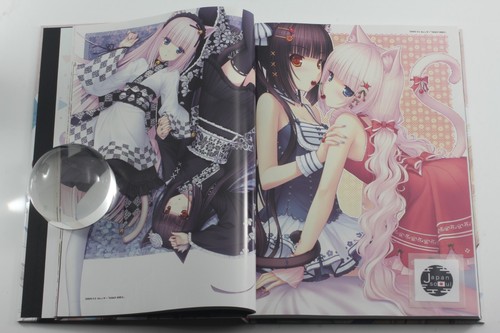 NEKOPARA 10º ANIVERSARIO - OBRAS DE ARTE SAYORI - ILUSTRACIÓN DE LIBRO DE ARTE DE JAPÓN - Imagen 15 de 24