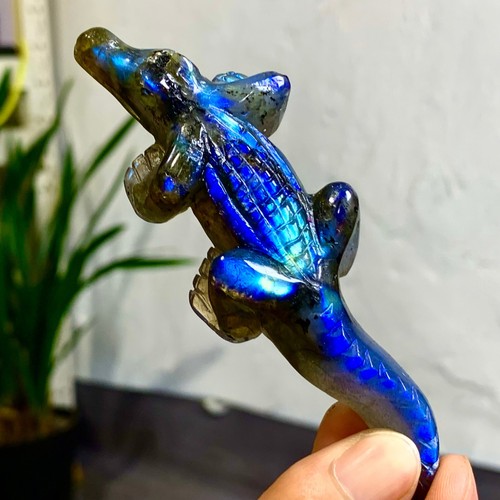 Labradorite naturale 60G coccodrillo intagliato a mano quarzo cristallo esemplare pietra - Foto 8 di 24