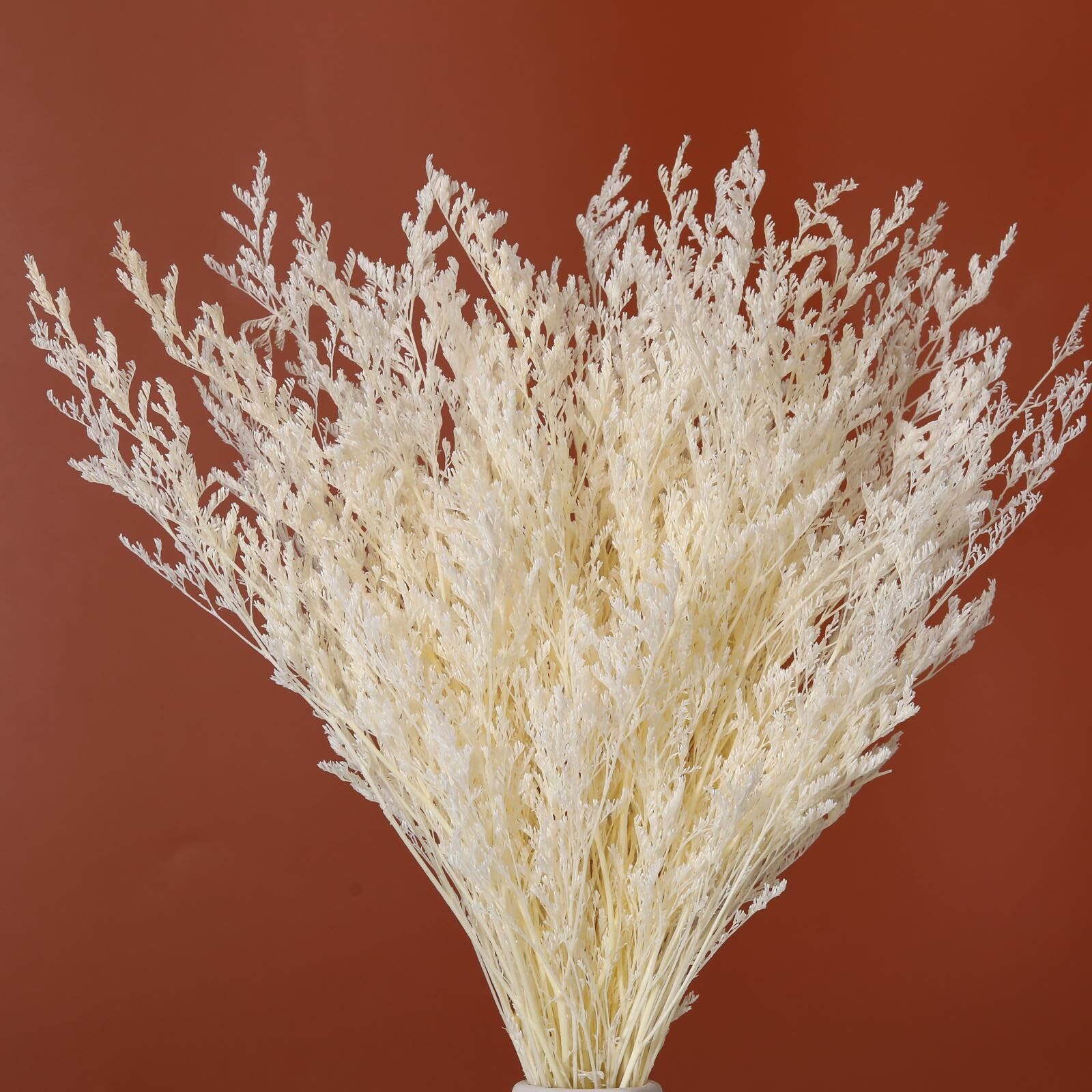 Dried Flowers Bouquet, Dry Caspia Flower Bundle, Floral Lavender, Babys Breat...-image