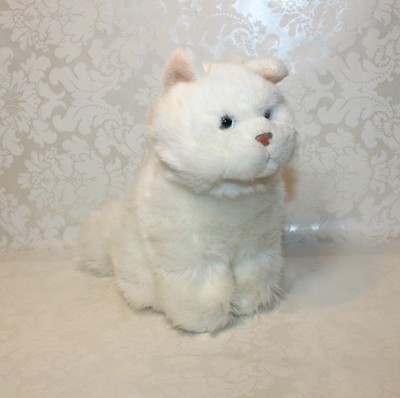 webkinz persian cat