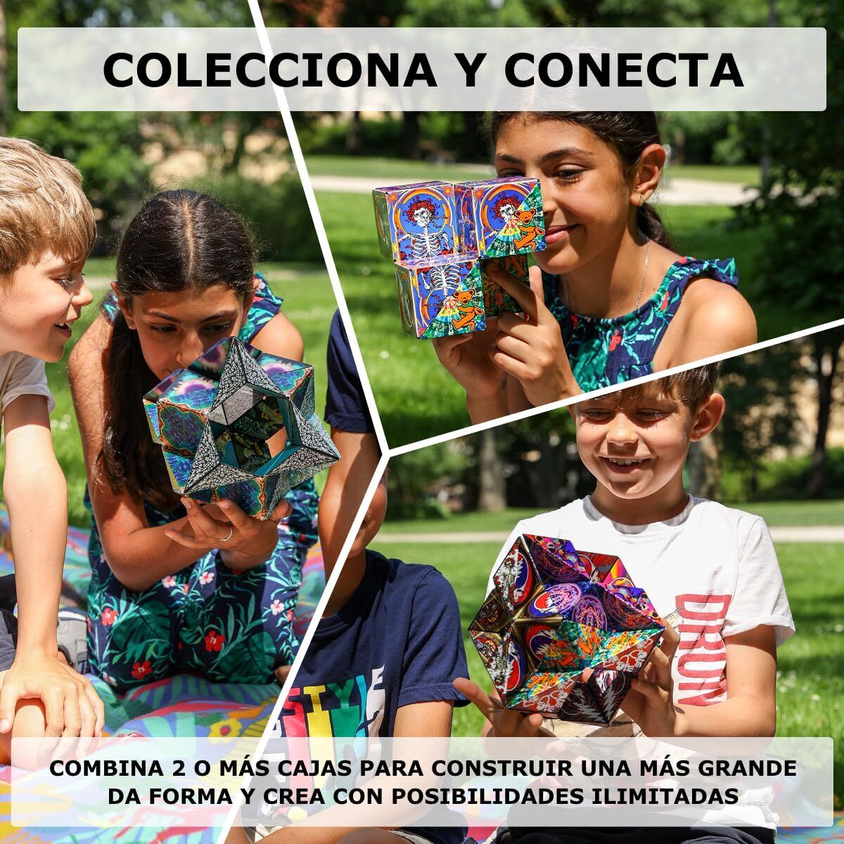 Imagen 6 de 7