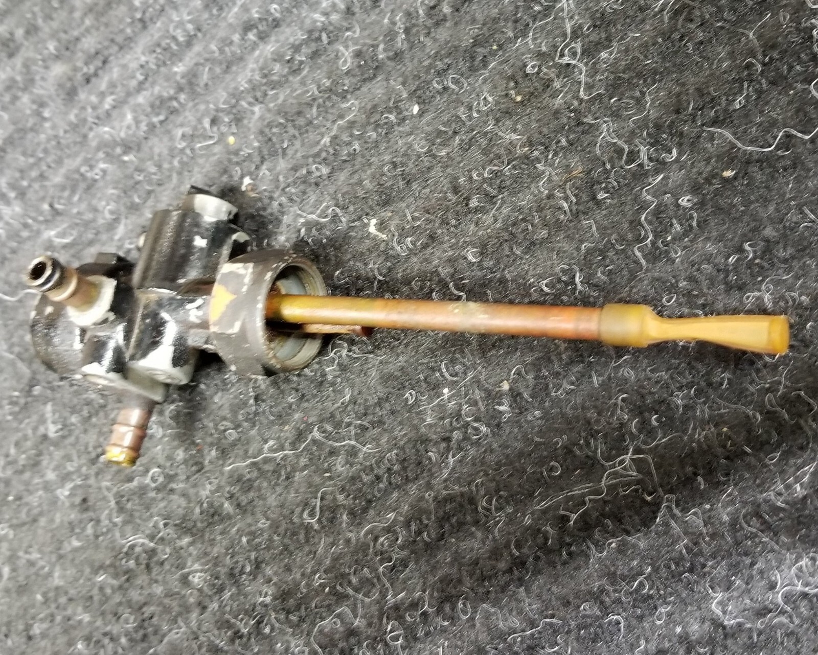 Picture 5 of 5