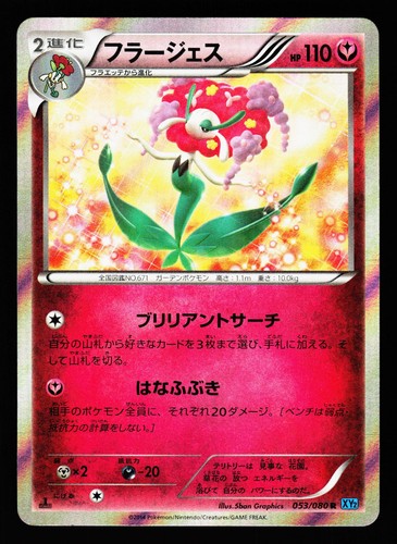 Florges 053/080 Rare Wild Blaze XY2 1st Edition Holo 2014 Pokemon Japanese LP