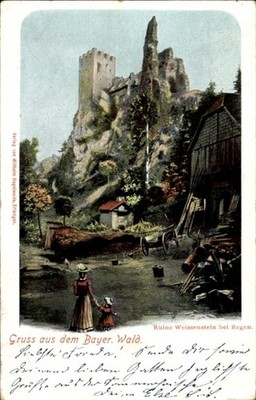 Ak Regen Bayer. Wald, Ruine Weissenstein, Wasserfall, Mutter mit Kind - 4618193