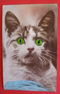 Alte Neuheit Katzen Comic KATZE GRÜN REALISTISCHE AUGEN QUIETSCHER GRÜNÄUGIG KATZE QUIETSCHEN