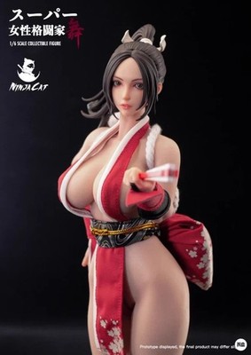 New Ninja Cat N001 Mai Shiranui Female Fighter 1/6 Action Figure 12 Inch InStocK