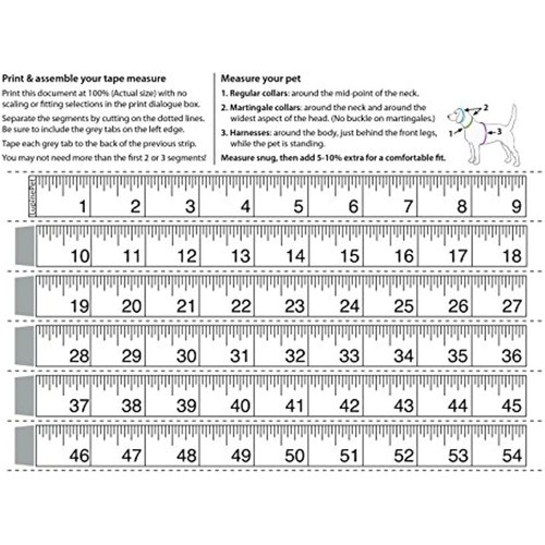 LupinePet Originals 3/4" Dapper Dog 15-21" Step In Harness for Small Dogs - Picture 3 of 4