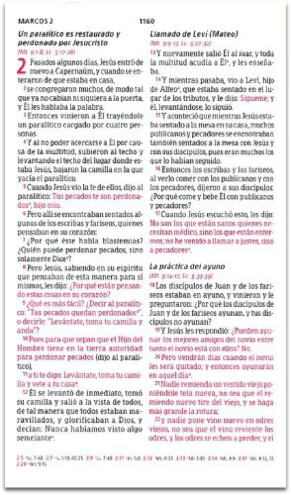 Imagen 2 de 3