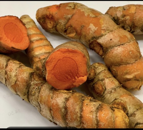 100% Organic Fresh Turmeric Roots From Small Florida Farm