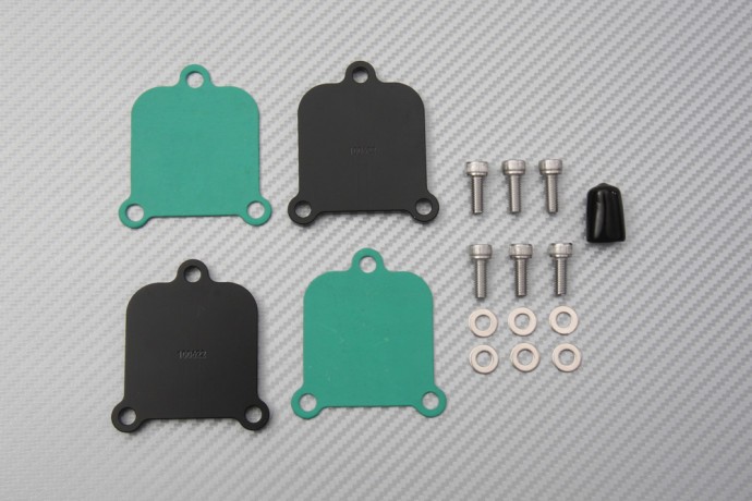 Kit plaques suppression PAIR BMW S1000R pour réglage banc de puissance