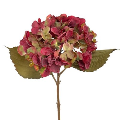 Kunstblume HORTENSIE 46 cm. In Trockenblumenoptik. Rot-Grün BUNT