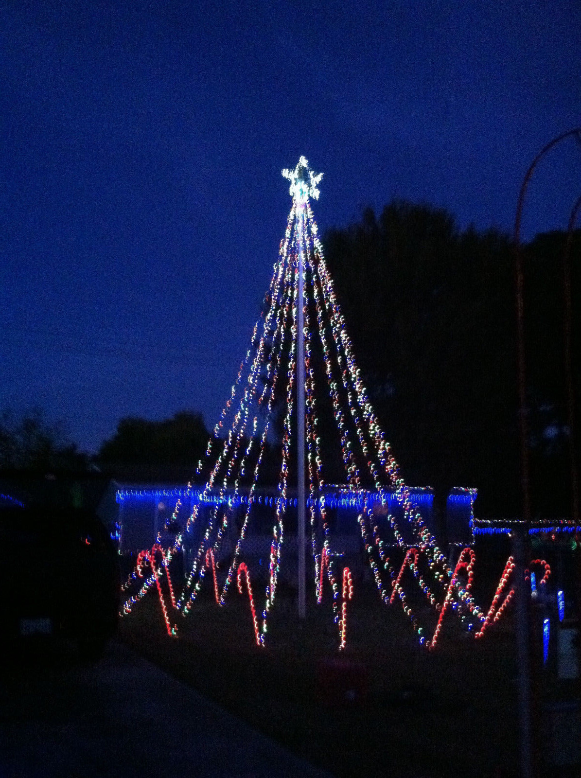 Light o Rama Christmas Sequences 24 for 28.00 PLUS 9 + Patriotic