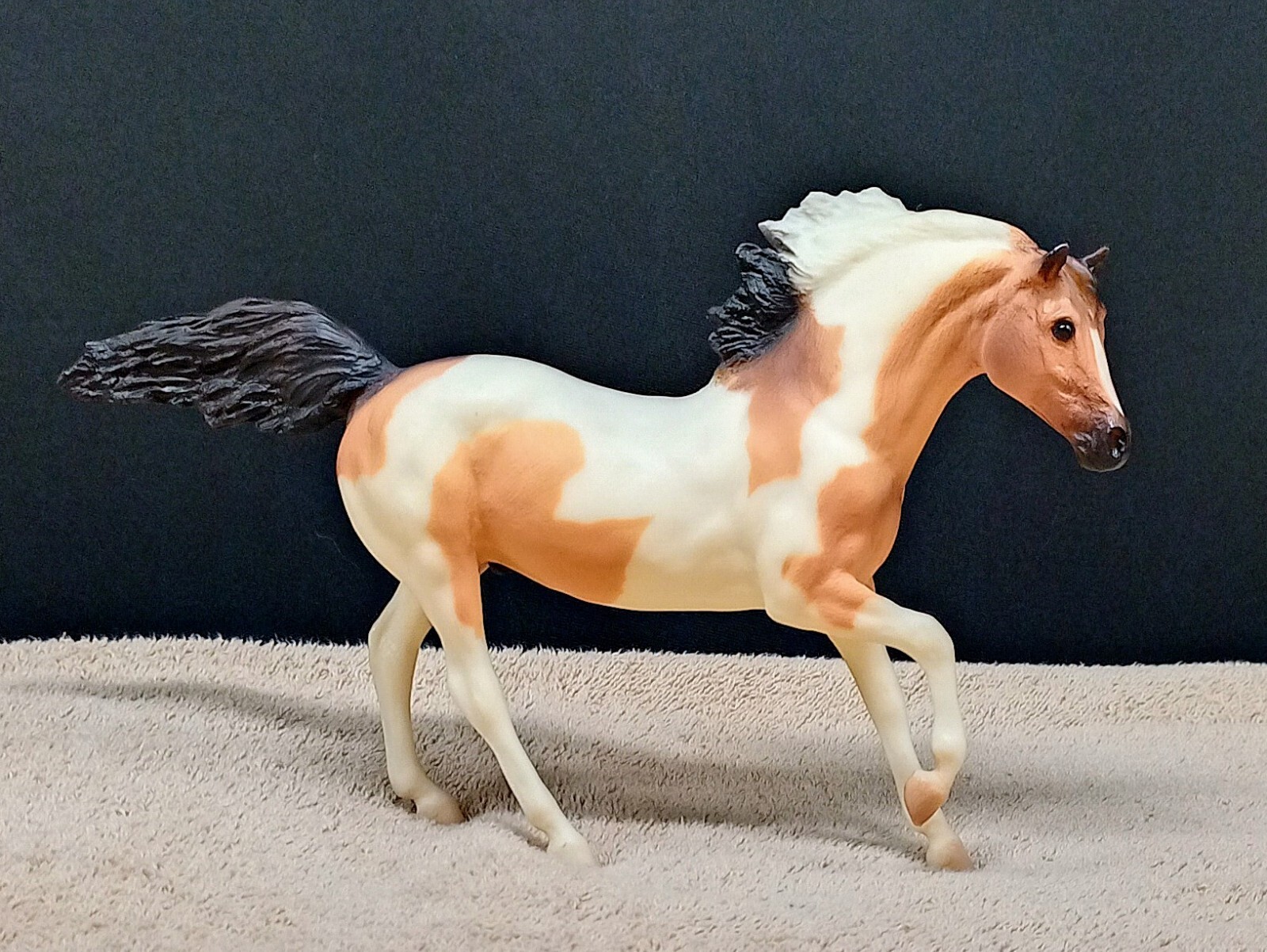 Buckskin Tobiano Horse