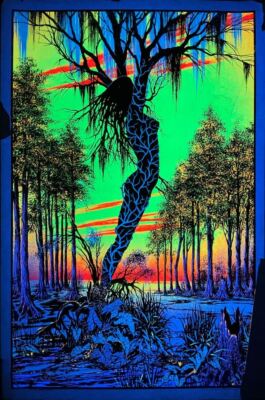Bayou Mirage Vintage Black Light Poster 23 x 35 | eBay
