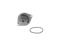 NEU - Bosch 1987948712 Wasserpumpe + Zahnriemensatz FüR CitroËN Peugeot