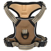 Hundegeschirr Mit Leine & Halsband Verstellbar Braun Xl