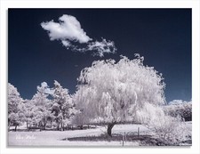 Converted Infrared IR 720nm Panasonic DMC-GF3 M43 Mirrorless Camera 69