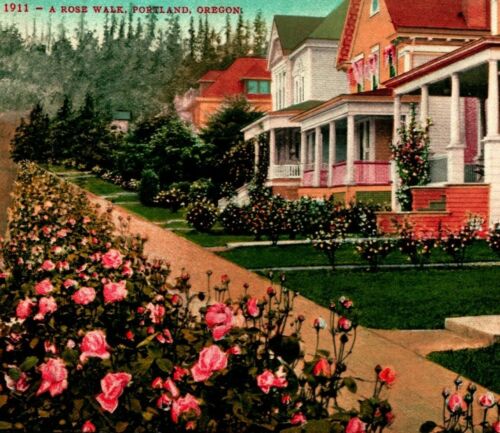 Portland Oregon OR Rose Walk Garden Houses 1910 Vtg Postcard Ed Mitchell Pub - Photo 1 sur 3