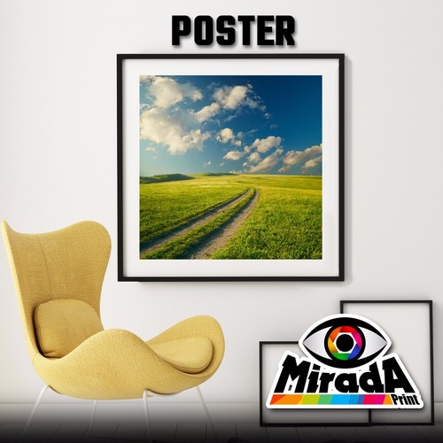 Poster Field Grün Natur Weltraum Cielo Papier Kamera 35x35 50x50 70x70