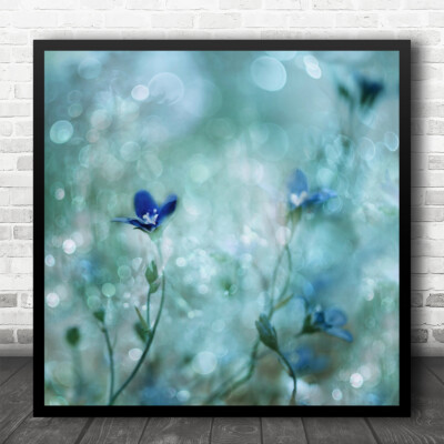 Blaue Blume Makro Bokeh Weichzeichner Weich Pastellfarbe Quadrat Wandkunstdruck
