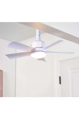 Cascade Pro 2-in-1 Socket 19'' Ceiling Fan & LED Light