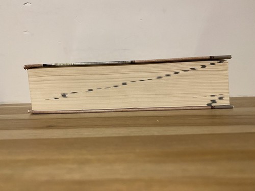 DIE NEUE STARKE ERSCHÖPFENDE KONKORDANZ DER BIBEL von James Strong - HC Buch - Bild 8 von 9
