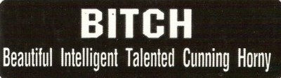 Motorcycle Sticker for Helmets or toolbox #192 Beautiful Intelligent Talen