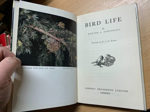 Libro de tapa dura ilustrado "Bird Life" Edward Armstrong 1949 primera edición (P3) - Imagen 5 de 18