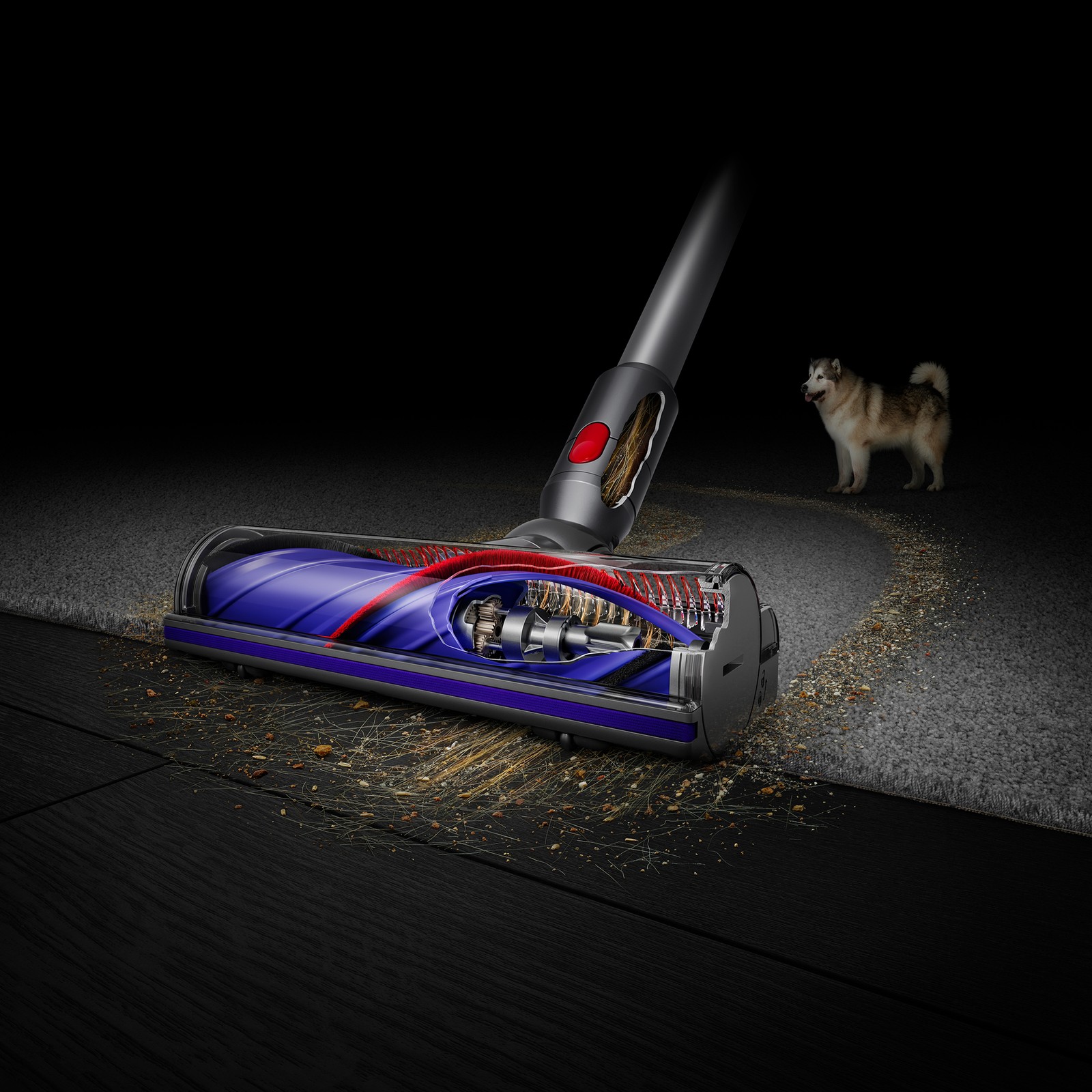 Dyson V7 Advanced Cordless Vacuum Cleaner 7