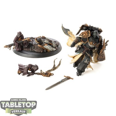 Dark Angels - Lion El'Jonson - bemalt
