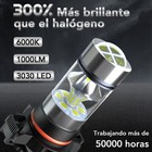 Imagen 15 de 16