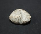 Foto 2 di 4