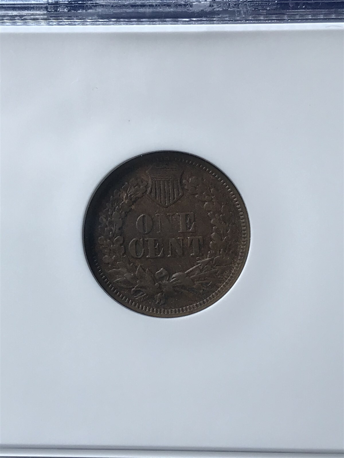 Picture 4 of 4