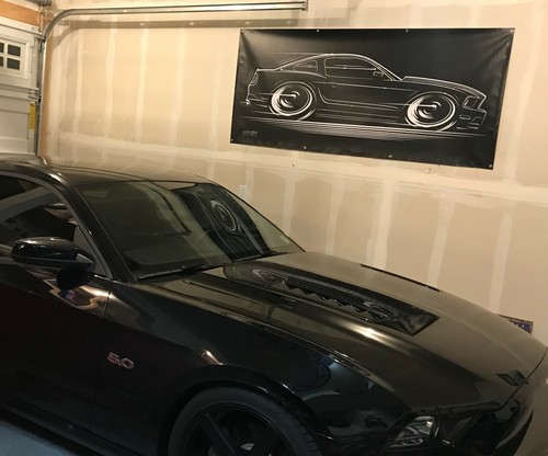 Big Banner '10-'14 Mustang Art GT Ford 2010 2011 2012 2013 2014 5.0 302 - Foto 5 di 16