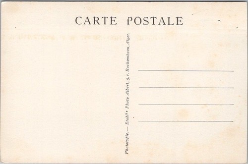 Vintage 1940s MONKEY Postcard "RUISSEAU des SINGES - Maternite" Algeria / UNUSED - Picture 2 of 2