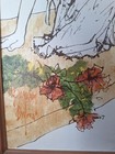 Picture 8 of 10