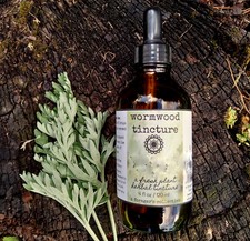 wormwood tincture , artemisia absinthium herbal extract , aforagerscollective