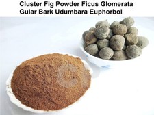 Cluster Fig Powder Ficus Glomerata Gular Bark Udumbara Euphorbol 50gm 1.7 OZ .
