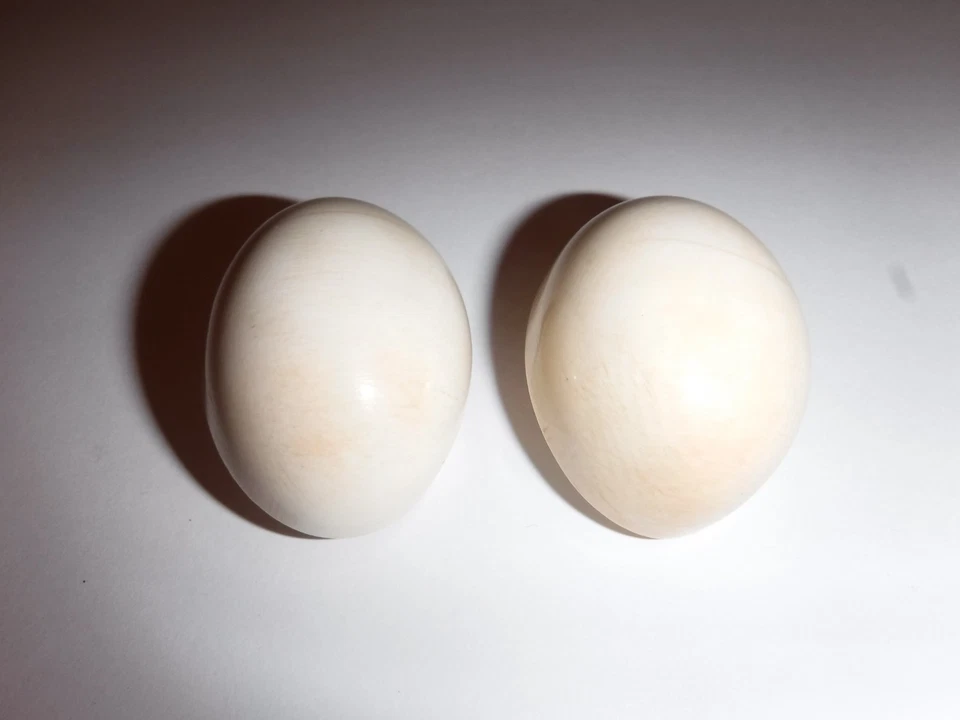 Pendientes Modernistas Patricia Von Musulin De Colección Enormes Clip Esterlina Forma de Huevo Foto 2 de 4