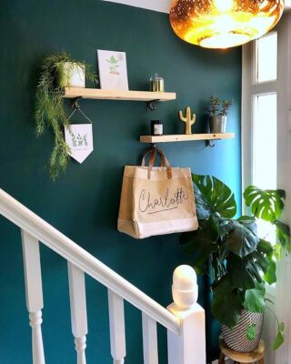 Flurtapete - Uni Ocean Teal - 11202314 - Modern Feature Wall