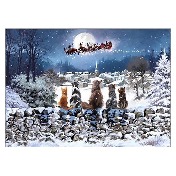 Cat Themed Christmas Card - Christmas Cats - Sale For Our Animal Charity