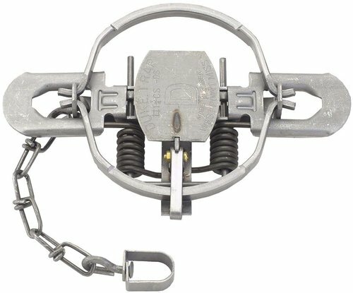 6 Duke # 1 3/4 OFFSET Jaw Coil Spring Traps 0476 Coyote Bobcat Trapping 5 1/4"