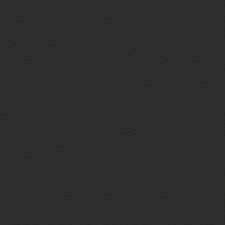 Toyota Graphite Leather Dye