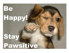 Dog Beagle Pup Positive Refrigerator Magnet Gift Card Insert