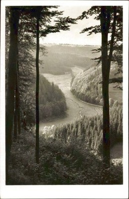7 Old Postcards Women's Forest in the Thuringian Forest, Various Views - 23222