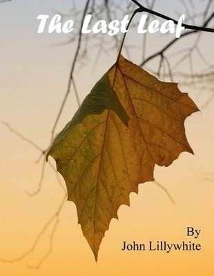 The Last Leaf by John Lillywhite Paperback Book