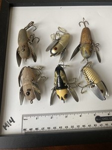 Crazy Crawlers | eBay Crazy Crawlers | eBay