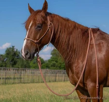 Chris Cox RED Navajo Horse Horse Rope Halter with Lead Rope Tack