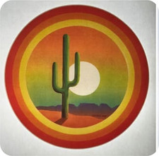 Vintage 1970's Desert Cactus Iron-On Transfer Retro Aesthetic 9.5"